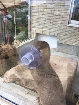 下田海中水族館に投稿された画像（2022/9/8）