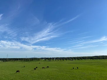 ノーザンホースパークに投稿された画像（2022/9/8）