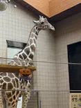 天王寺動物園に投稿された画像（2022/9/8）