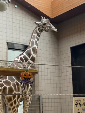 天王寺動物園に投稿された画像（2022/9/8）