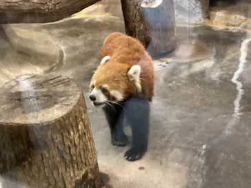 天王寺動物園に投稿された画像（2022/9/8）