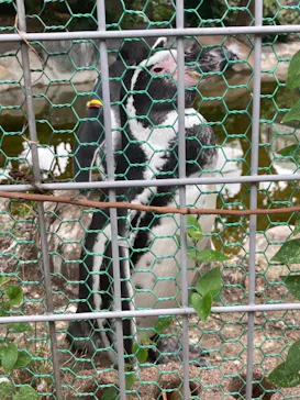 天王寺動物園に投稿された画像（2022/9/8）