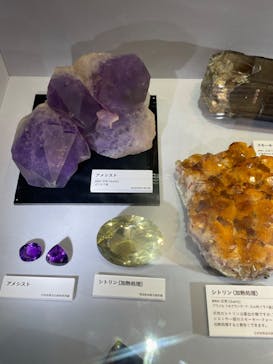特別展「宝石　地球がうみだすキセキ」（名古屋市科学館　理工館地下２階イベントホール）に投稿された画像（2022/9/8）