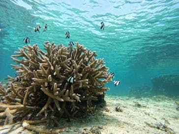 宮古島 ADVENTURE PiPi（ミヤコジマ アドベンチャー ピピ）に投稿された画像（2022/9/8）