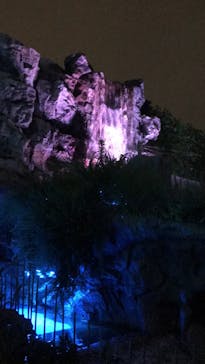 サンシャイン水族館に投稿された画像（2022/9/8）