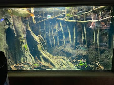 サンシャイン水族館に投稿された画像（2022/9/8）