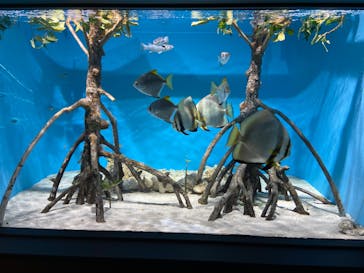 サンシャイン水族館に投稿された画像（2022/9/8）