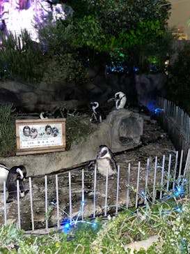 サンシャイン水族館に投稿された画像（2022/9/8）