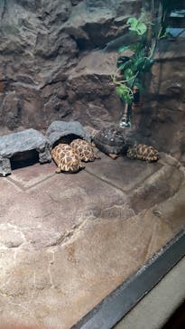 サンシャイン水族館に投稿された画像（2022/9/8）