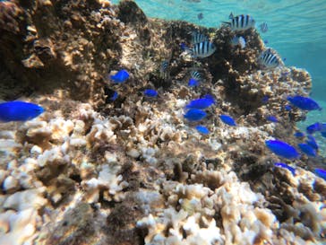 武藤潜水に投稿された画像（2022/9/9）