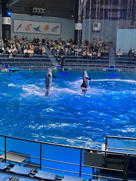 マクセル アクアパーク品川に投稿された画像（2022/9/9）