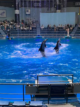 マクセル アクアパーク品川に投稿された画像（2022/9/9）