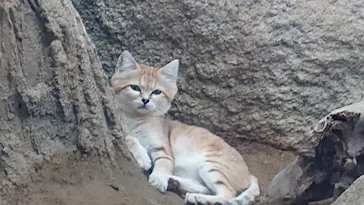 神戸どうぶつ王国に投稿された画像（2022/9/9）