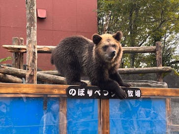 のぼりべつクマ牧場に投稿された画像（2022/9/9）