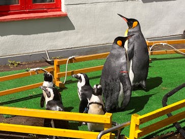 登別マリンパークニクスに投稿された画像（2022/9/9）