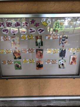 世界の名犬牧場に投稿された画像（2022/9/9）