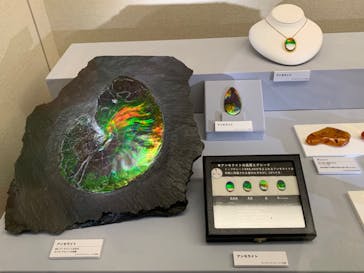 特別展「宝石　地球がうみだすキセキ」（名古屋市科学館　理工館地下２階イベントホール）に投稿された画像（2022/9/9）