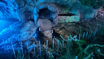 サンシャイン水族館に投稿された画像（2022/9/9）