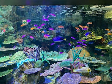 サンシャイン水族館に投稿された画像（2022/9/9）