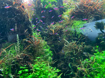 すみだ水族館に投稿された画像（2022/9/9）