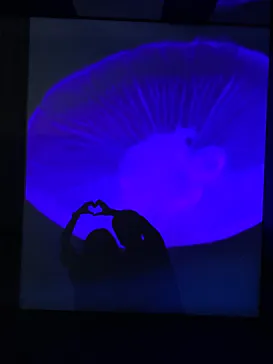 すみだ水族館に投稿された画像（2022/9/9）