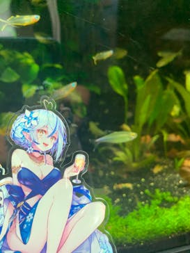 サンシャイン水族館に投稿された画像（2022/9/9）