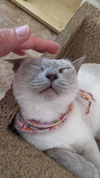 つくばわんわんランドに投稿された画像（2022/9/10）