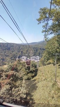 のぼりべつクマ牧場に投稿された画像（2022/9/10）