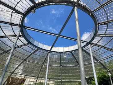 熱川バナナワニ園に投稿された画像（2022/9/10）