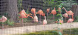 天王寺動物園に投稿された画像（2022/9/10）
