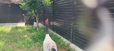 天王寺動物園に投稿された画像（2022/9/10）