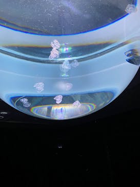 サンシャイン水族館に投稿された画像（2022/9/10）