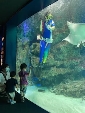 サンシャイン水族館に投稿された画像（2022/9/10）
