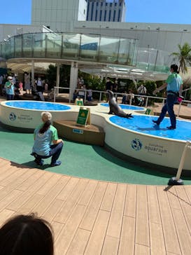 サンシャイン水族館に投稿された画像（2022/9/10）