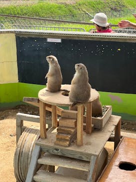 淡路ファームパーク イングランドの丘に投稿された画像（2022/9/10）