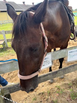 淡路ファームパーク イングランドの丘に投稿された画像（2022/9/10）