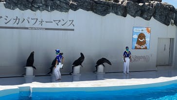 鴨川シーワールドに投稿された画像（2022/9/10）