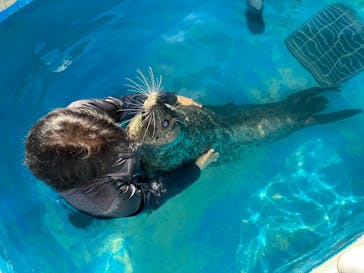 南知多ビーチランド＆南知多おもちゃ王国に投稿された画像（2022/9/10）