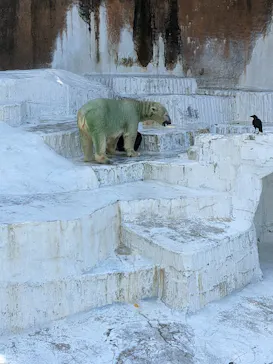 天王寺動物園に投稿された画像（2022/9/10）
