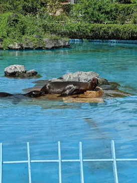 天王寺動物園に投稿された画像（2022/9/10）