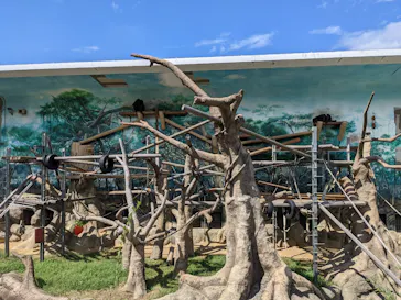 天王寺動物園に投稿された画像（2022/9/10）