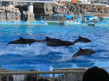 名古屋港水族館に投稿された画像（2022/9/10）