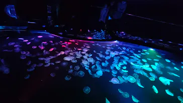 すみだ水族館に投稿された画像（2022/9/10）