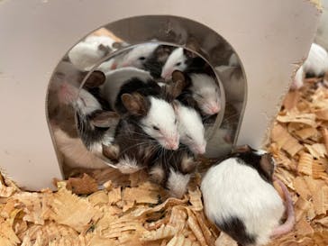 アニタッチみなとみらいに投稿された画像（2022/9/10）