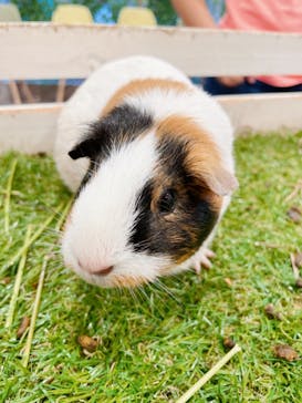 アニタッチみなとみらいに投稿された画像（2022/9/10）