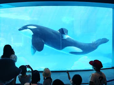名古屋港水族館に投稿された画像（2022/9/10）