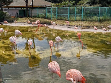 東武動物公園に投稿された画像（2022/9/10）