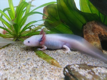 サンシャイン水族館に投稿された画像（2022/9/10）