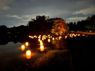 チームラボ ボタニカルガーデン 大阪に投稿された画像（2022/9/10）