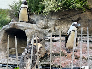サンシャイン水族館に投稿された画像（2022/9/10）